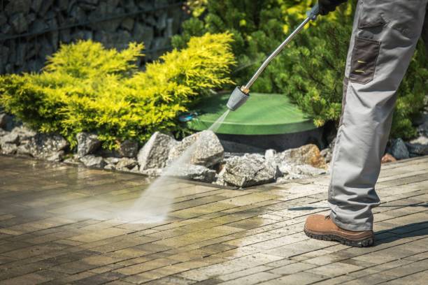 Trusted Wolf Point, MT Pressure Washing Services Experts