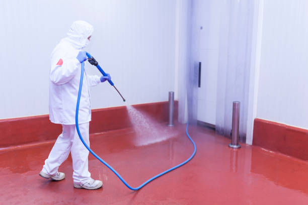 Best Restaurant Pressure Washing  in Wolf Point, MT